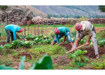 Pero la ciudad consume cada vez menos