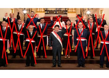 Cuando miramos el árbol y no vemos el bosque