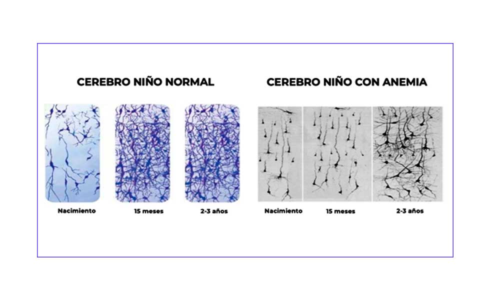 El círculo vicioso del Perú