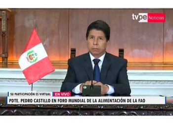 Lo que Castillo dijo – y no dijo