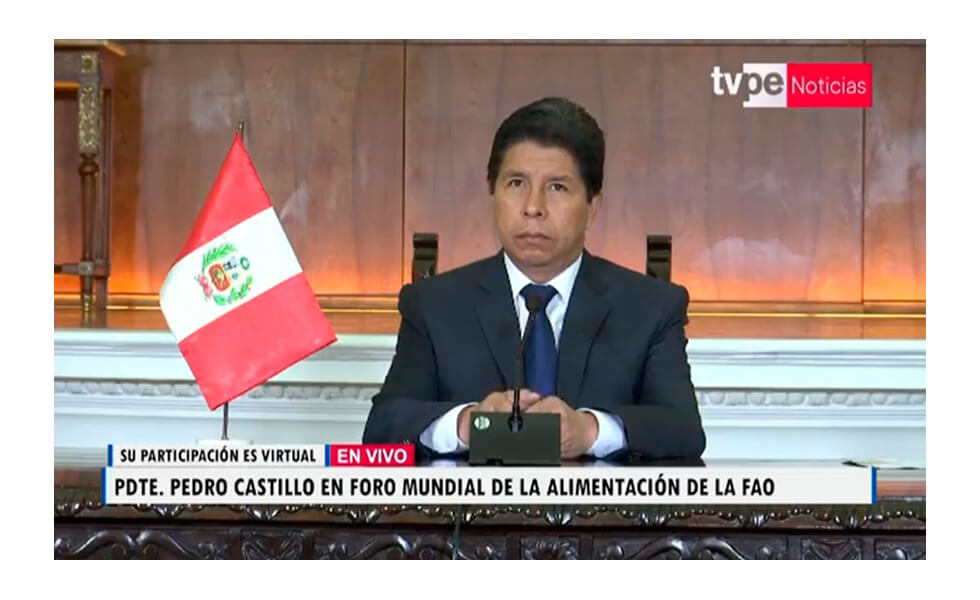 Lo que Castillo dijo – y no dijo