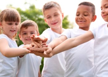 Tiro por la culata de la OEA