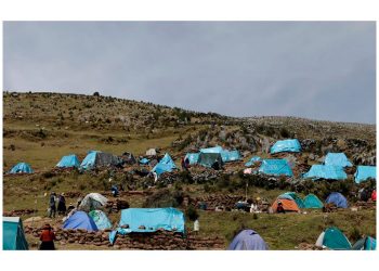 Impulsor del desarrollo