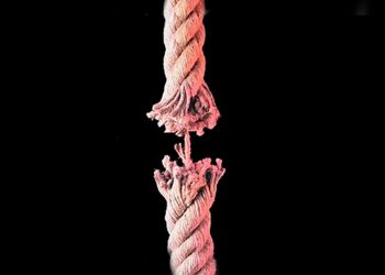 El Congreso no puede evadir su responsabilidad