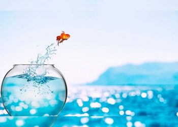 ¿Dina Boluarte debe renunciar?