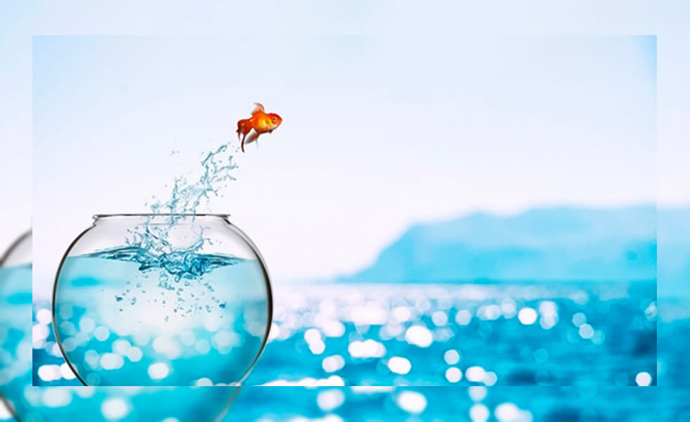 ¿Dina Boluarte debe renunciar?