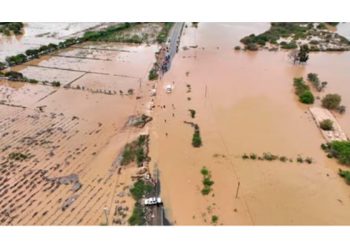 Fracaso de las autoridades políticas