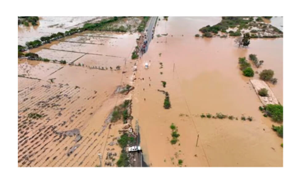 Fracaso de las autoridades políticas