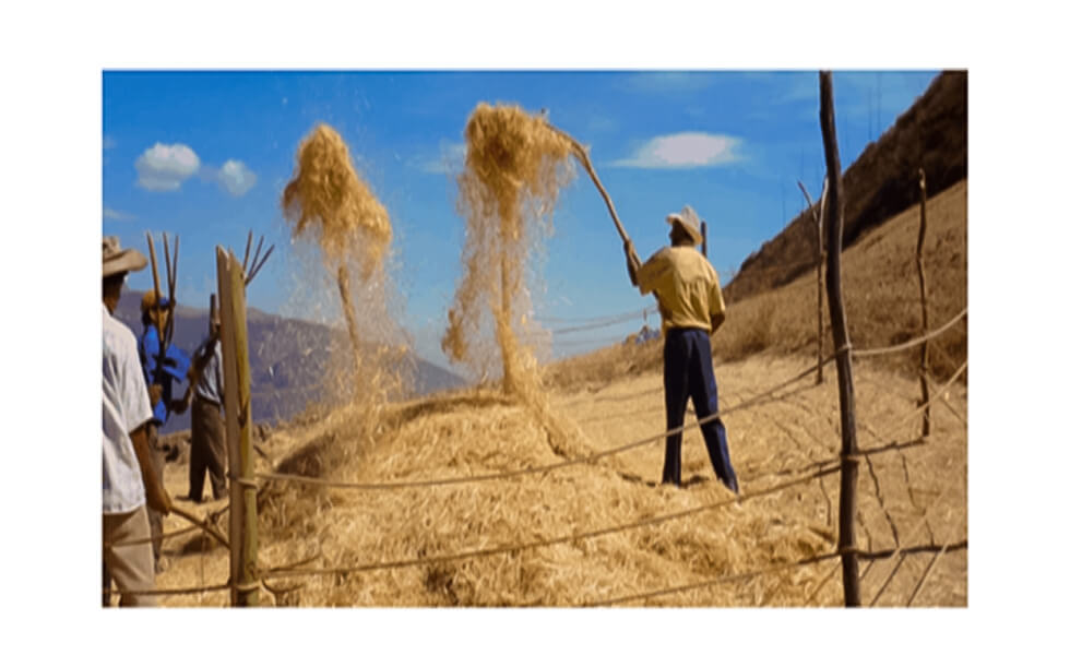 Lo bueno, lo malo y lo feo