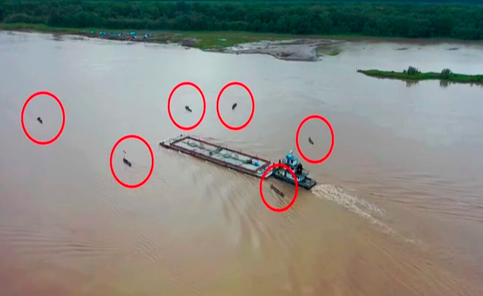 Oportunidades Minero-Energéticas del Perú (14)