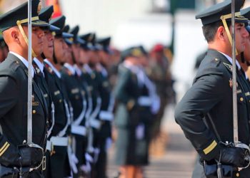 No debe delegarse facultades al Gobierno