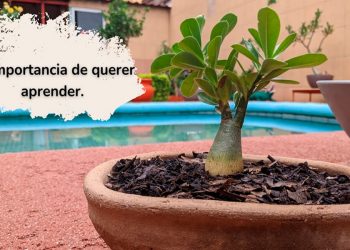 La captura de Abimael Guzmán y el VRAEM