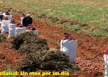 Un parásito llamado EsSalud