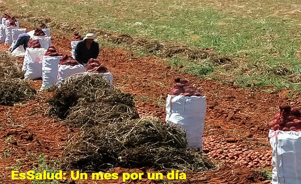 Un parásito llamado EsSalud