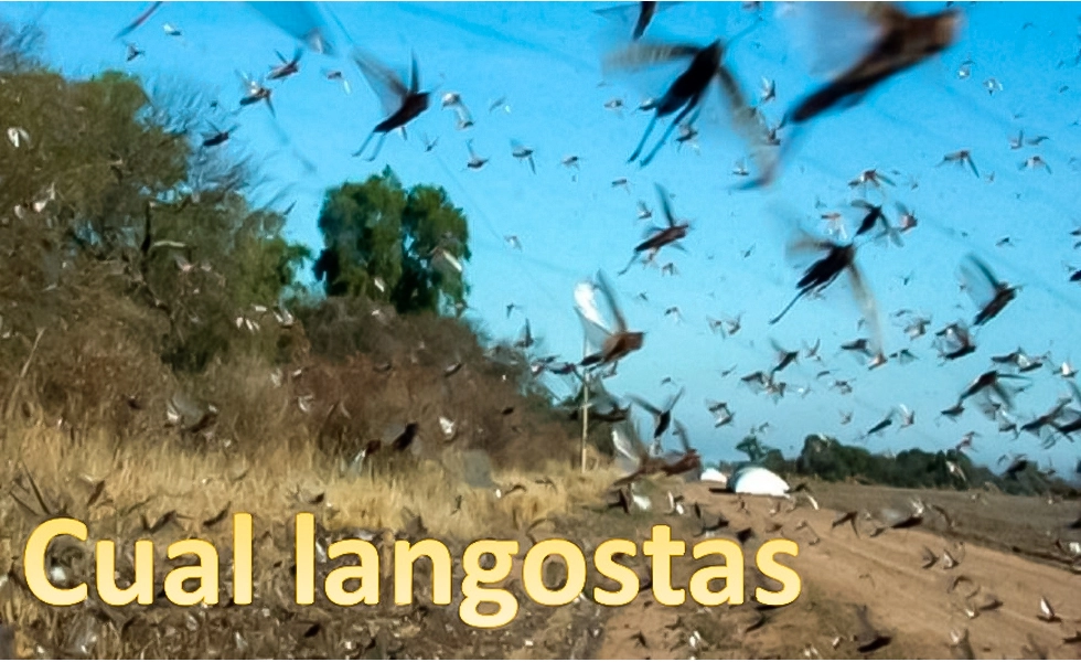 ¿Quién roba a quién?