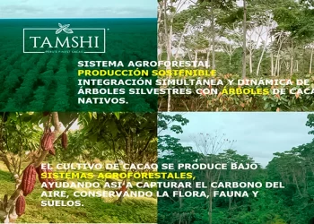 El negocio de algunas ONG