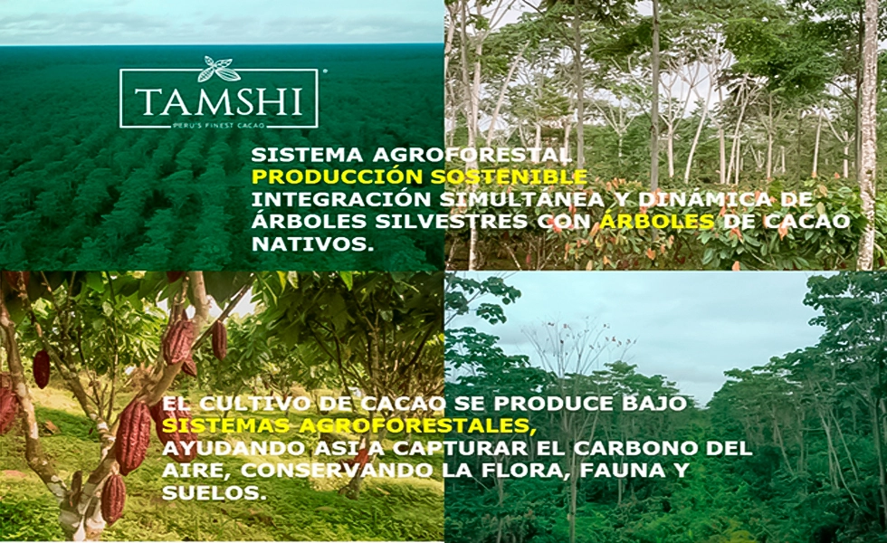 El negocio de algunas ONG