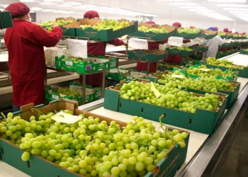 Balance agroexportador 2023