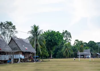 ONGs contra comunidades nativas