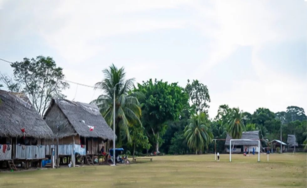 ONGs contra comunidades nativas