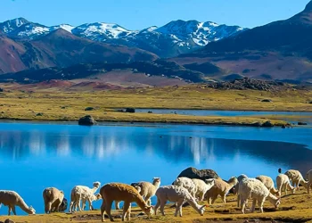 ¿Sequía hídrica o miopía ideológica?