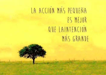 De cómo la propició la Contraloría