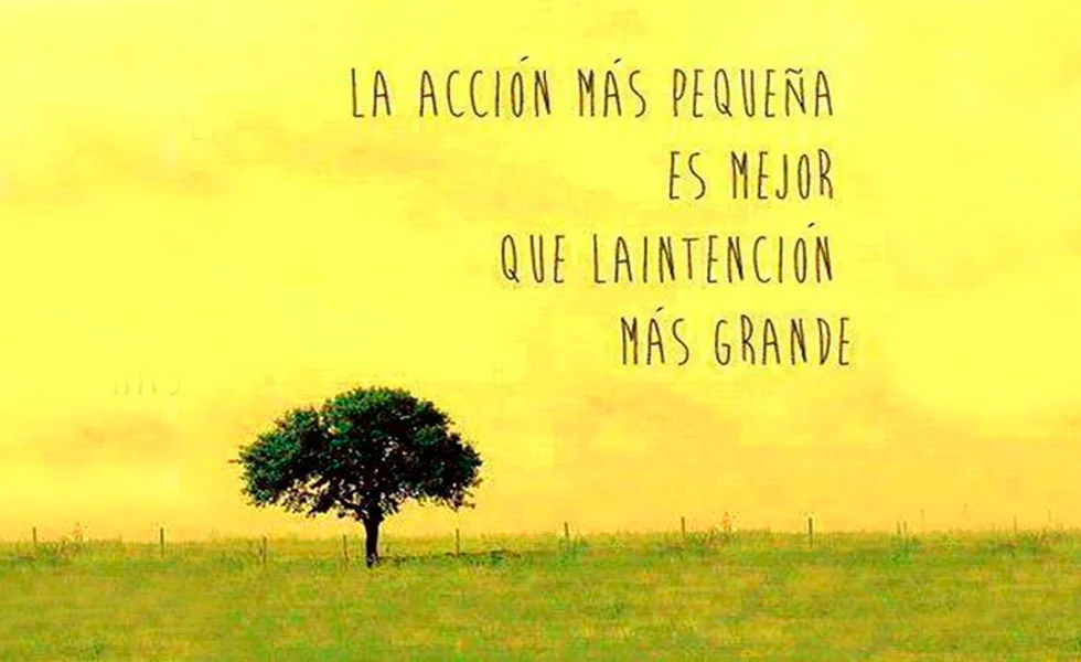 De cómo la propició la Contraloría