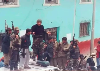 “Democracia pelotuda” … que se llama