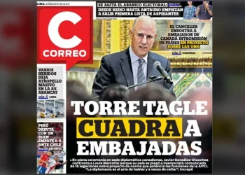 Diplomacia pública y ONGs