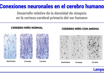 La condena de nuestros niños