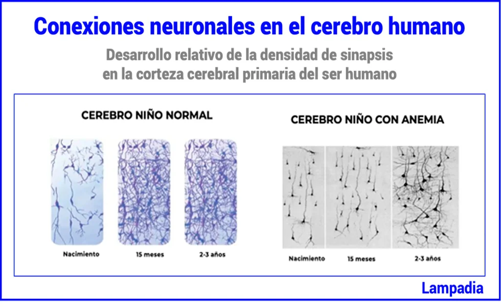 La condena de nuestros niños