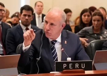 ¿Un Canciller pro-Maduro?