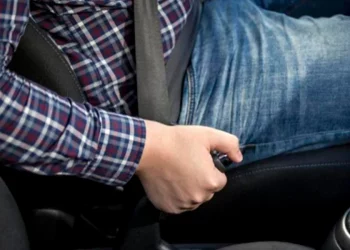 Andinos en crisis con libre comercio y una excepción