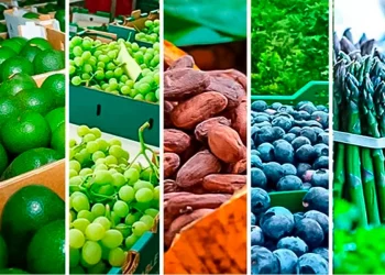 ¿Alguien dijo US$ 12,000 millones?