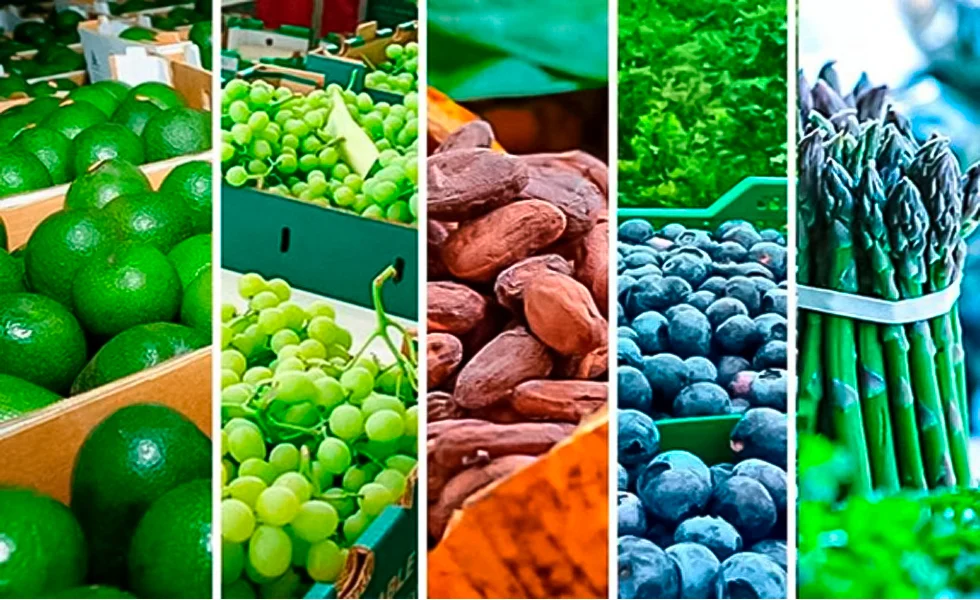 ¿Alguien dijo US$ 12,000 millones?