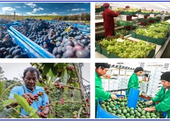 Aprobar la nueva ley agraria