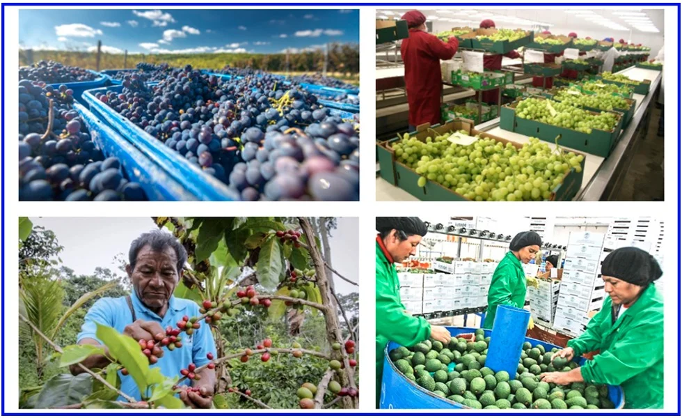 Aprobar la nueva ley agraria