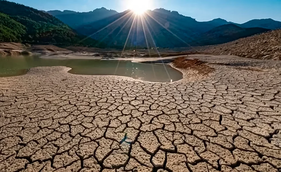 ¡Llegó el agua nueva!