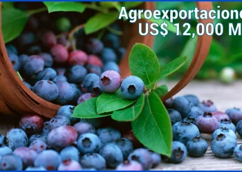 ¿Lo digo o no lo digo? Lo digo