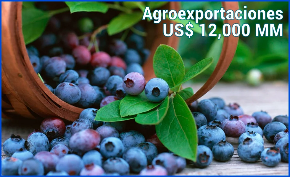 ¿Lo digo o no lo digo? Lo digo