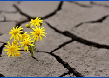 La esperanza es infinita