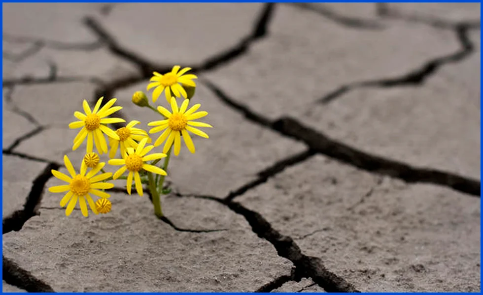 La esperanza es infinita