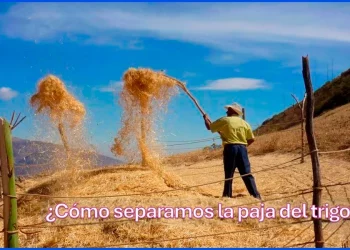 De las obras por impuestos (OxI)