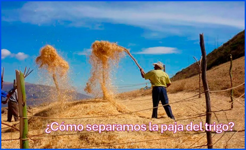 De las obras por impuestos (OxI)