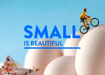 “Small is beauty”