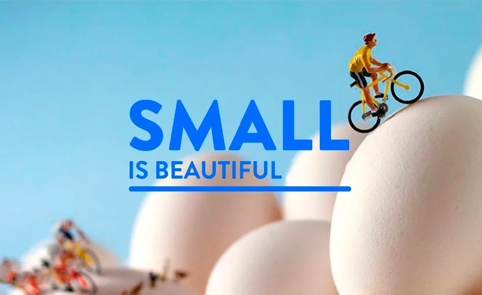 “Small is beauty”