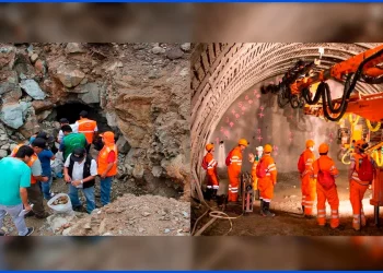 Criterios para enfrentar su manejo