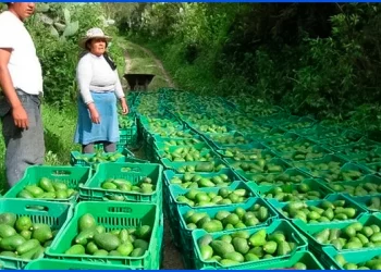 Mensaje a la nación