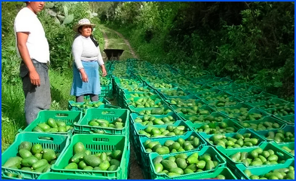 Mensaje a la nación