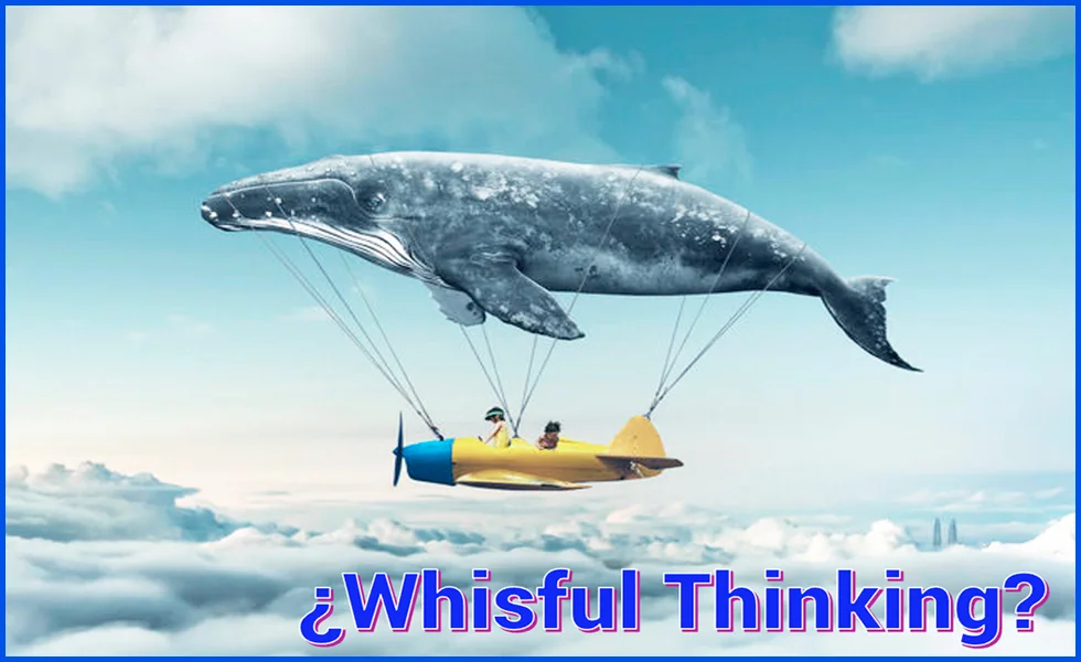 Contubernio o Cogobierno